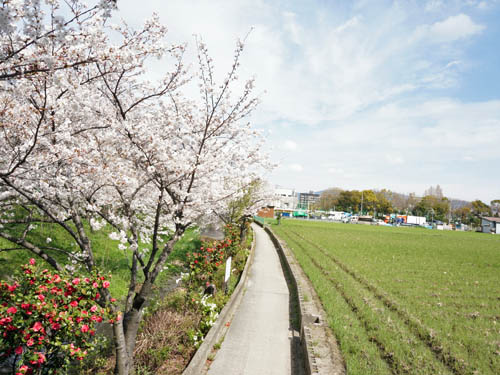 レザミ鶴見緑地