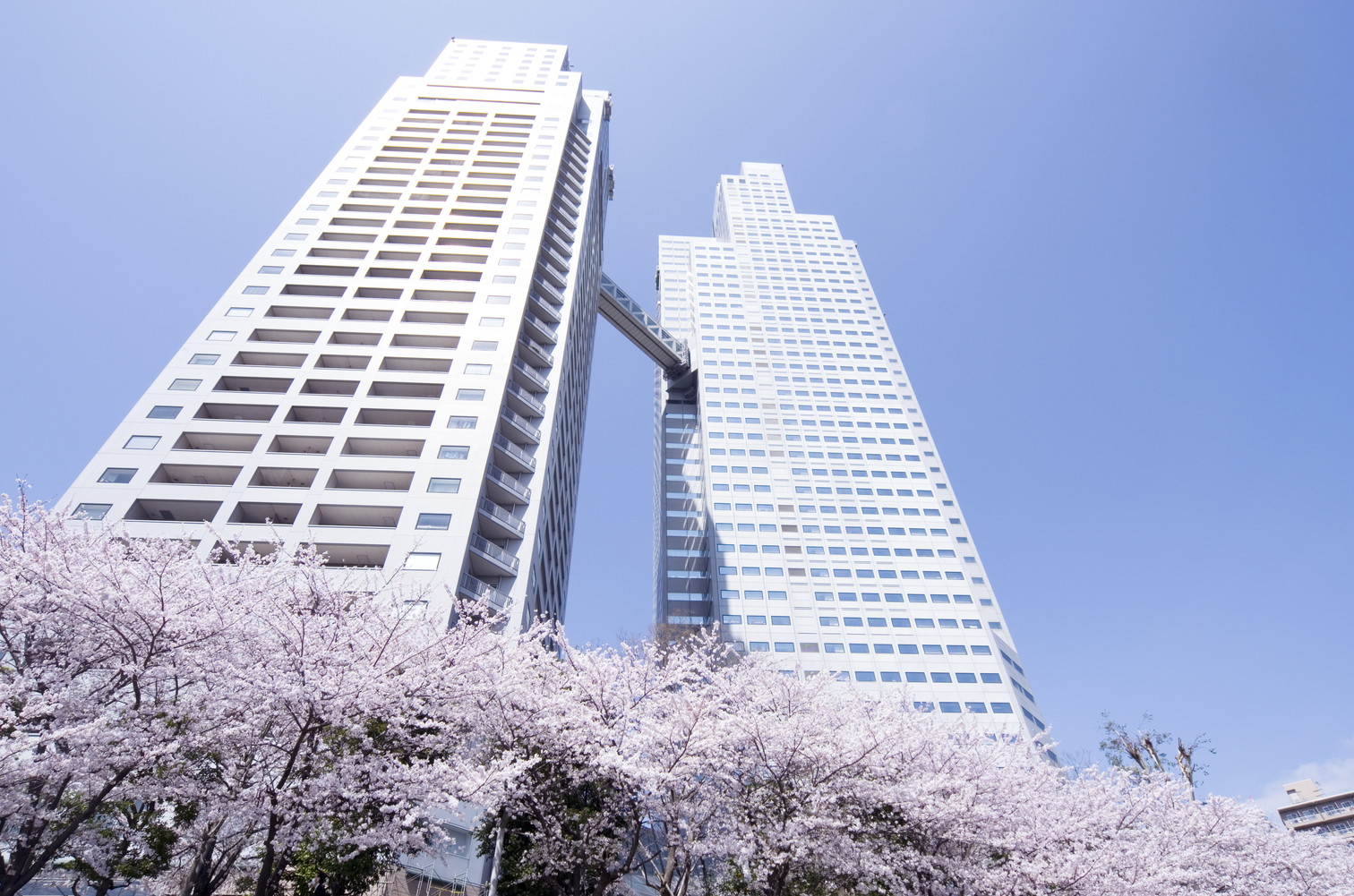 聖路加レジデンス外観